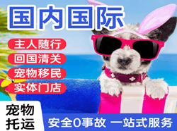沈阳桃仙机场邮寄国际宠物托运 【国